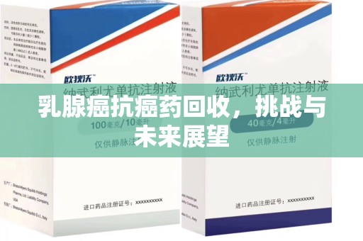 安阳乳腺癌抗癌药回收，挑战与未来展望