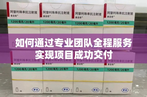 安阳如何通过专业团队全程服务实现项目成功交付