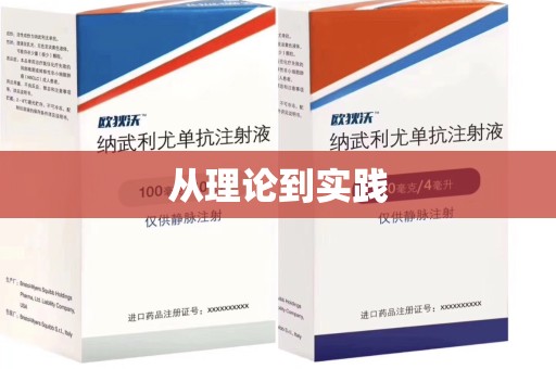 安阳从理论到实践