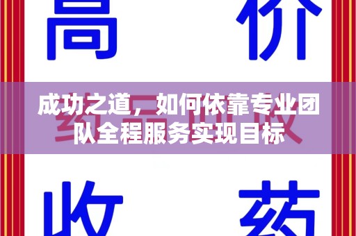安阳成功之道，如何依靠专业团队全程服务实现目标